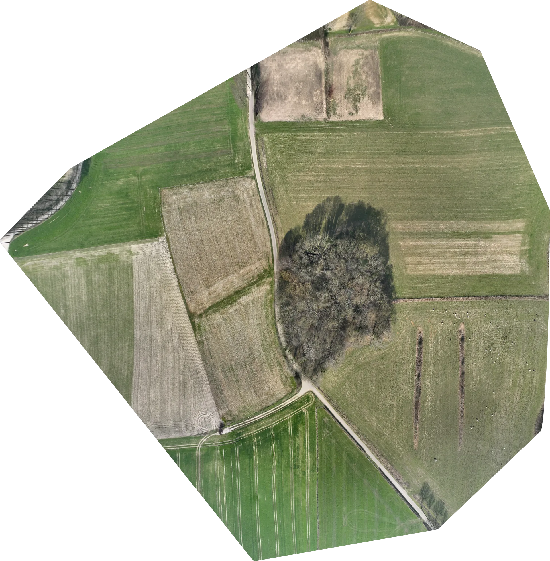 Orthofoto testmissie SkyAccurate — volledig scherm